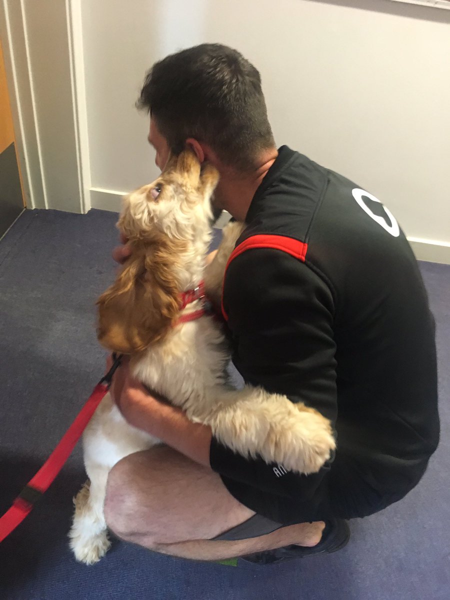StephMorley75's tweet photo. Octavia staff have that Friday feeling! Great end to a great week! #dreamteam #thisisAP #dogsarejoy #wellbeing @tbap_octavia https://t.co/uF2IuHrWGd