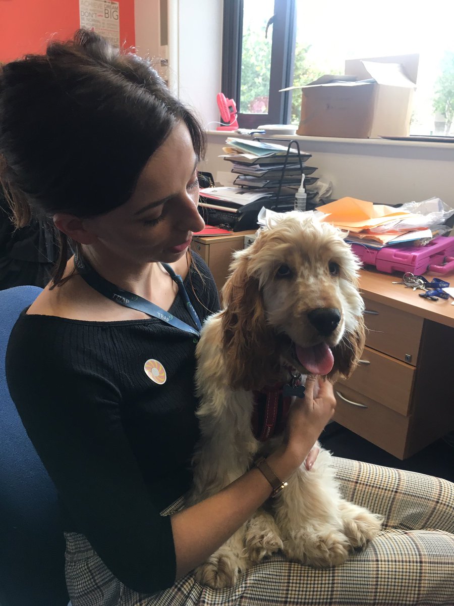 Octavia staff have that Friday feeling! Great end to a great week! #dreamteam #thisisAP #dogsarejoy #wellbeing <a href="/tbap_octavia/">Octavia AP Academy</a>