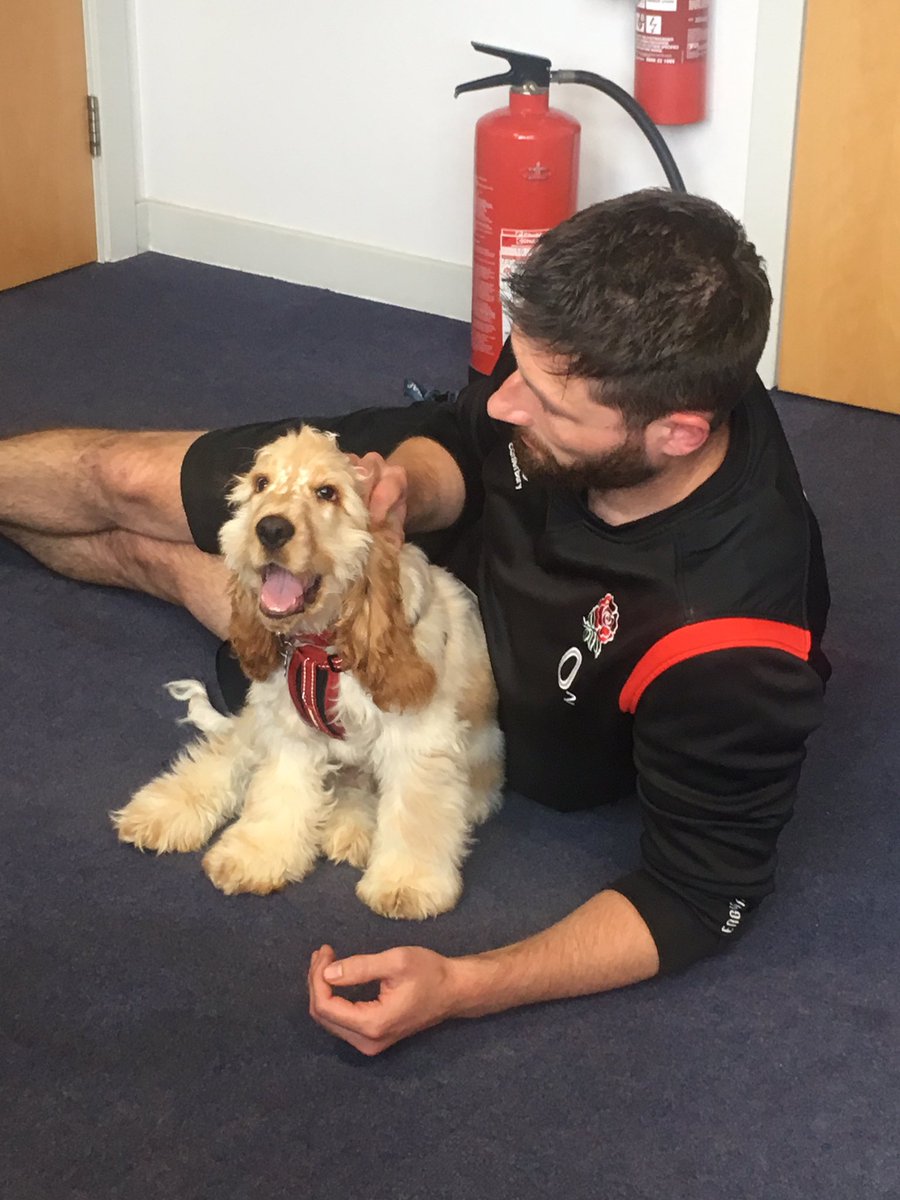 StephMorley75's tweet photo. Octavia staff have that Friday feeling! Great end to a great week! #dreamteam #thisisAP #dogsarejoy #wellbeing @tbap_octavia https://t.co/uF2IuHrWGd