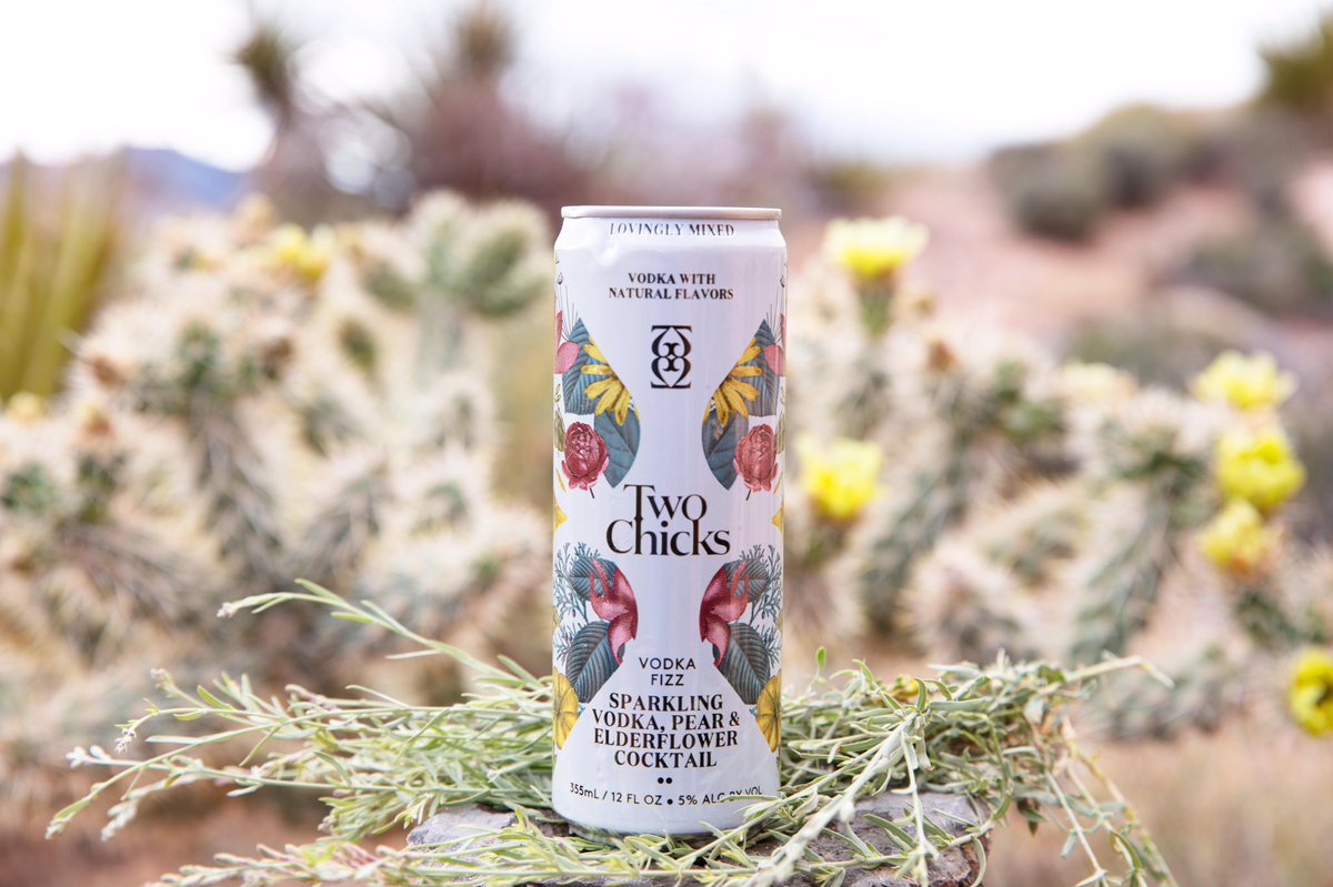 TwoChicksDrinks's tweet photo. Gone hiking! π₯Ύ We brought water & snacks too, donβt worry π #HappyFriday #TwoChicksCocktails #Vodka #CannedCocktail #LovinglyMixed β¨ https://t.co/ixA2nnwSTF
