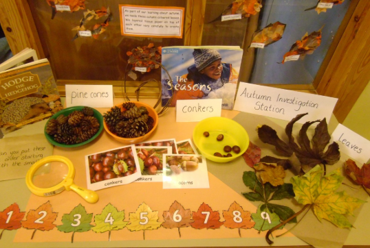 IvesonMaths's tweet photo. Look at Reception's Autumn table - who's been counting leaves? 

#autumn #reception #mathsisfun #counting https://t.co/4NUV8fG0WK