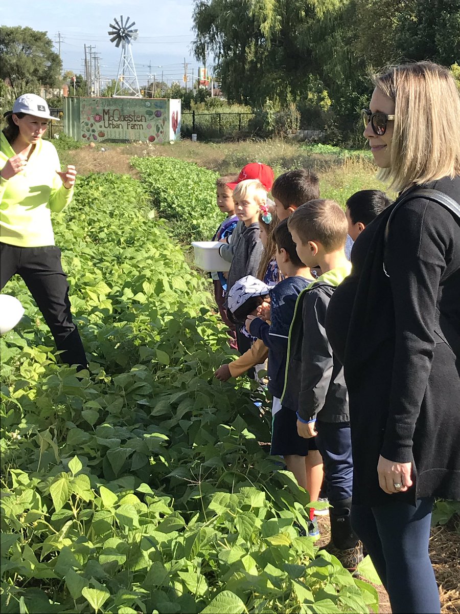 mrpuri106's tweet photo. Learning about farming at McQuesten Urban Farm! #farmtotable @kristensolowey @carpriice https://t.co/9rDnJNmgB6