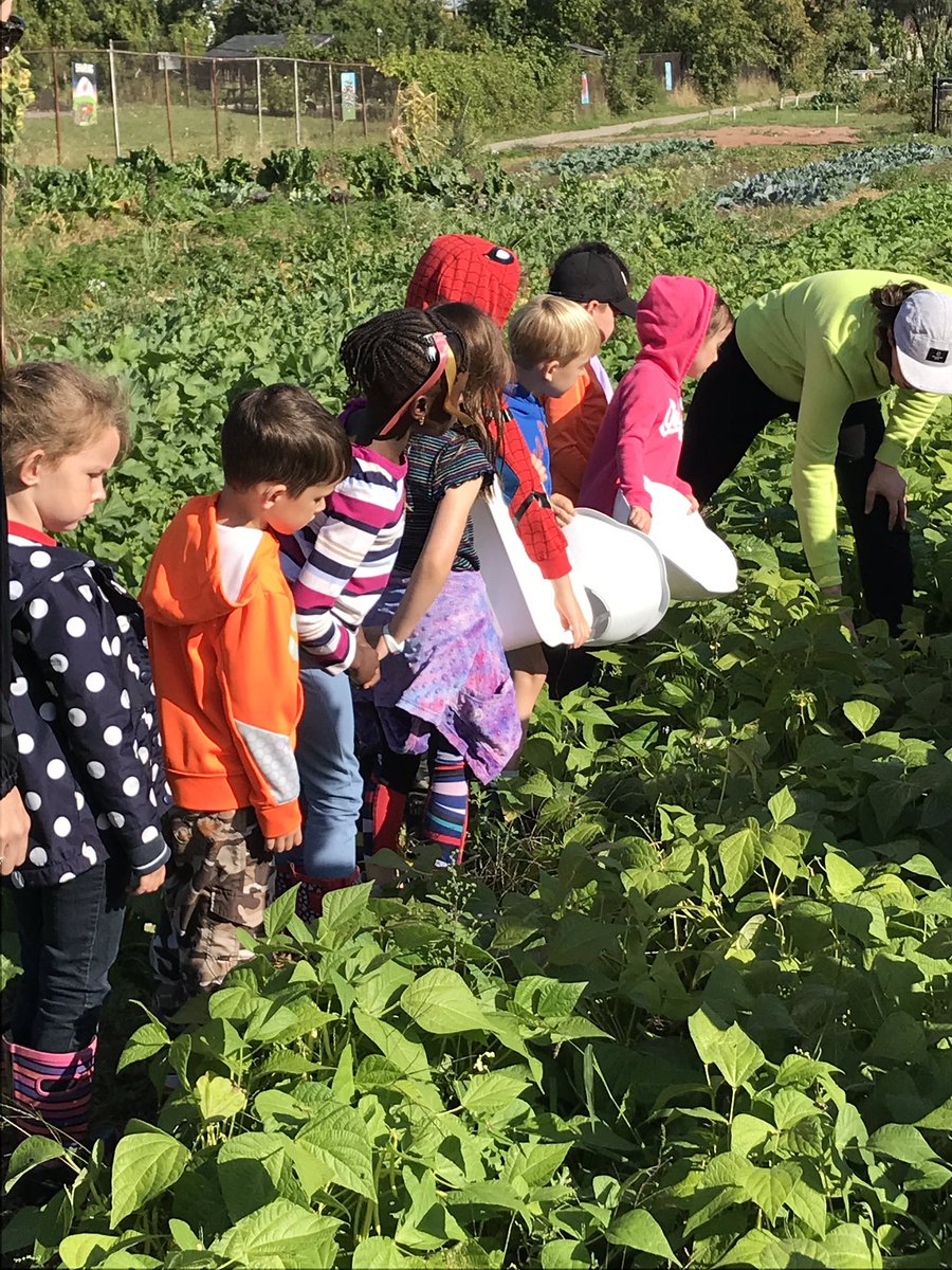 mrpuri106's tweet photo. Learning about farming at McQuesten Urban Farm! #farmtotable @kristensolowey @carpriice https://t.co/9rDnJNmgB6