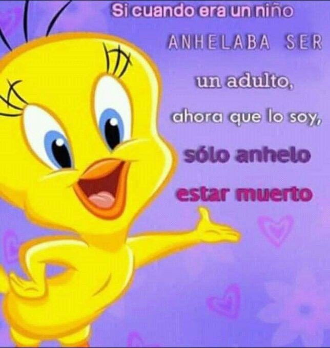 photo Piolin Grosero Buenos Dias tiapiolin hashtag on twitter