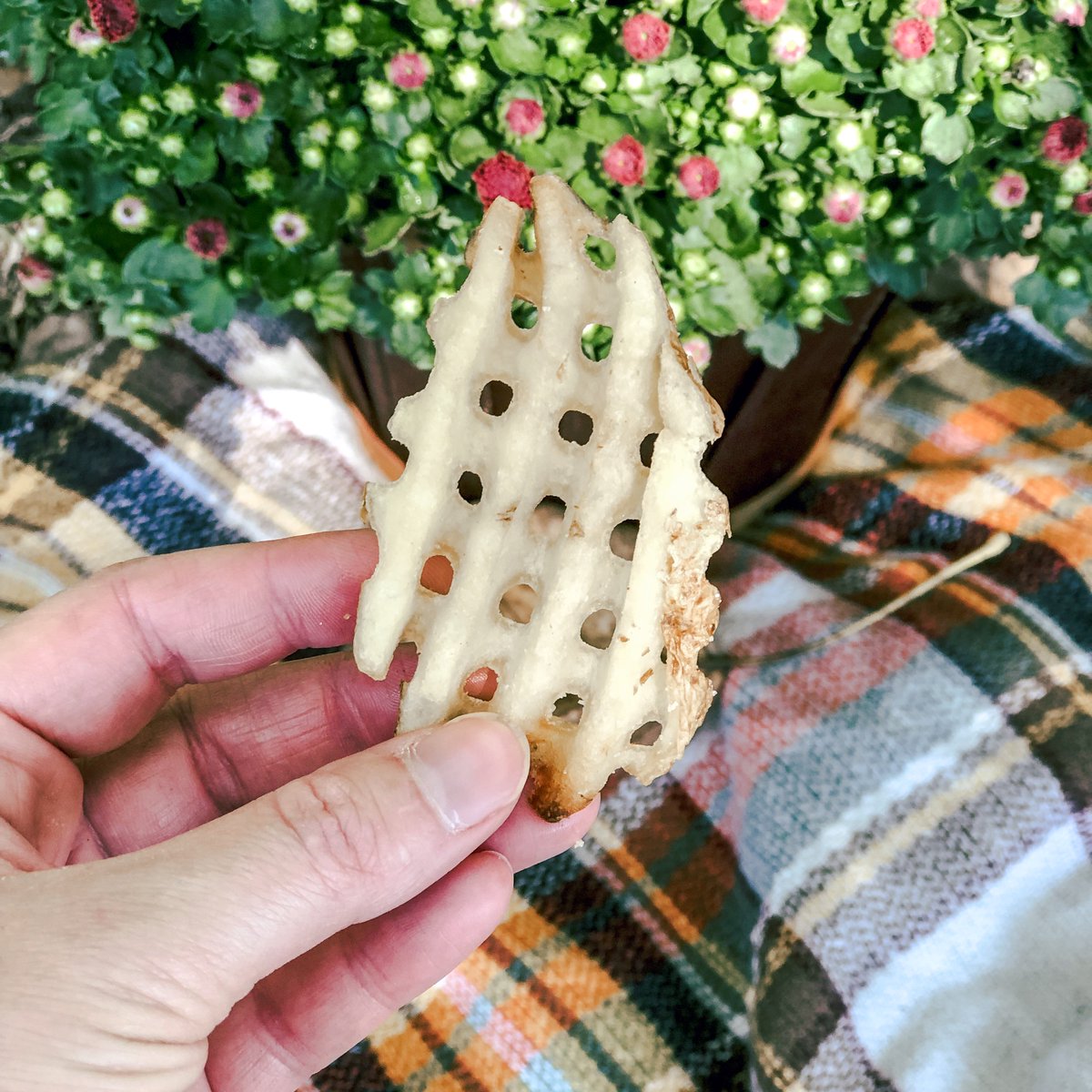 ResearchCFA's tweet image. We call this a Wa(FALL) FRYday! 🍁
#ChickfilAResearchTriangle #WaffleFries #Fall #CFARTPsGotJokes #punintended #chickfila