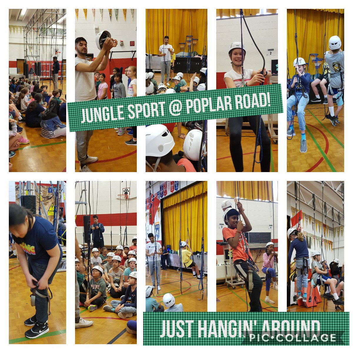 TweetNG4TDSB's tweet photo. Day 4 of Jungle Sport @poplarroad_tdsb! https://t.co/oMUuXxXj1Q