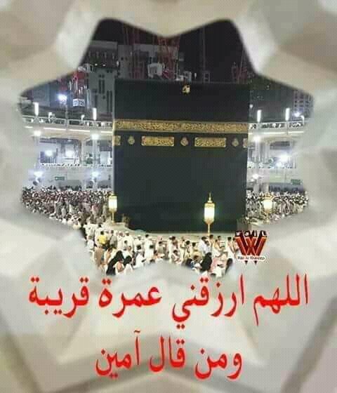 رشــاد حـسن مـحمد (ابو حسن) (@rshadwety1) on Twitter photo 