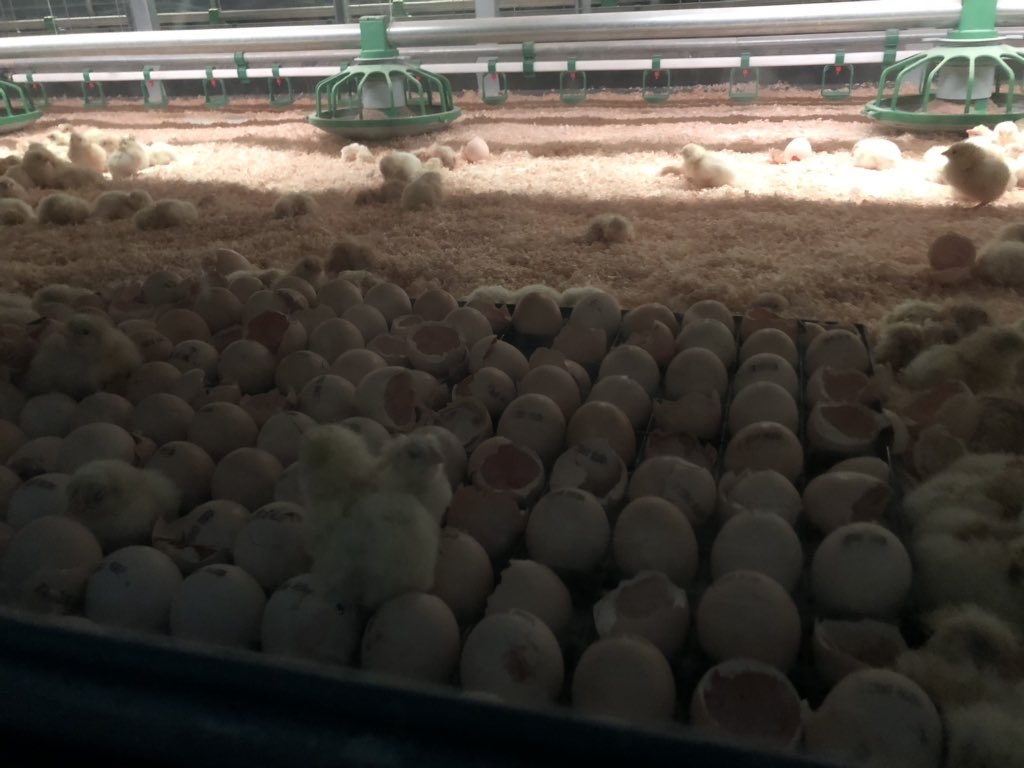 MaickArendsen's tweet photo. @KuijpersKip schitterend bedrijf met oog op toekomst en brandveiligheid mooi voorbeeld van totale keten aanpak. https://t.co/rnkpvZnJUn