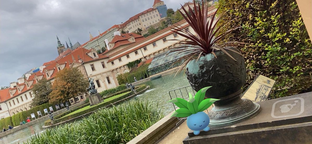 TotoLeti's tweet photo. #TotoTips photo no.4
Oddish was so content to find his lookalike in one of Prague’s many parks! 🌿 Too bad we couldn’t take his new friend along.
Will I become Nick’s #Pragueguide? Help it come true by retweeting 💚 Thanks if you do 🙏 #GOsnapshot #pokemongo #ZTDnews https://t.co/Vr8mk16lEu