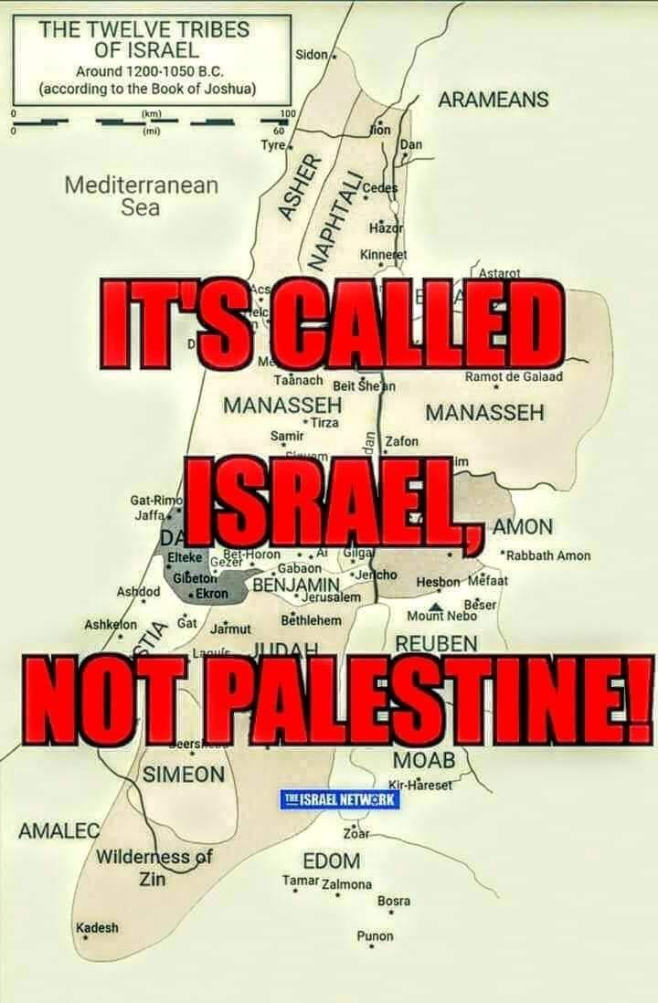 Josh09177463's tweet photo. That.s the truth. https://t.co/pRT68MwTJD