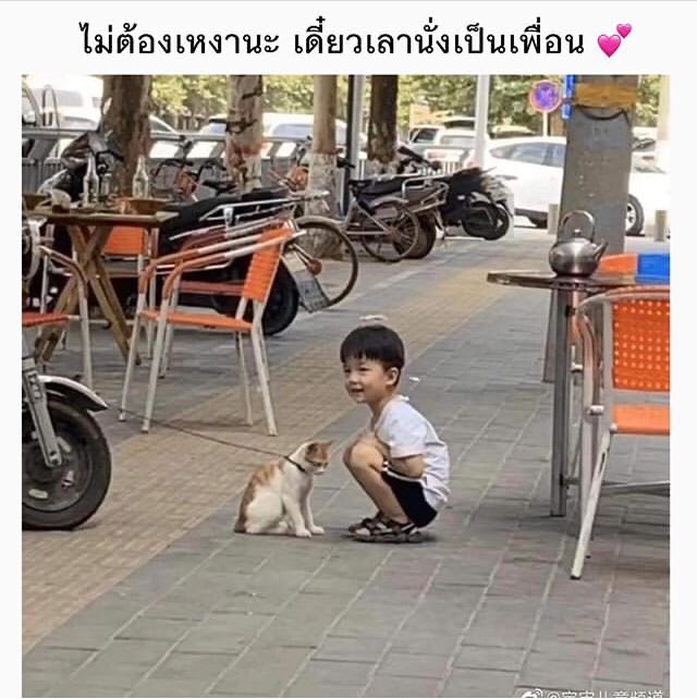 ไอเลิฟหนมแงวเลีย tweet media