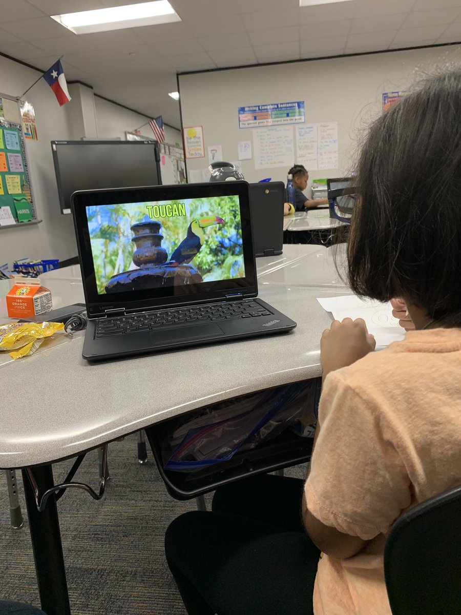 SamThePara's tweet photo. Genius Hour is happening right now at @WillbernES! In Animal Dicovery we get to research our favorite animals and make books from what we learn 😬 https://t.co/PZ1bsgOqnR