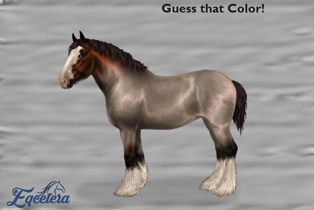EqceteraGame's tweet photo. Time to Guess that Color! Might be an easy one... Might not be.
Leave your game name to win a prize!
#ClydesdaleMonth #EqceteraGame #Equestrian #HorseGenetics #HorseBreeding #HorseCompetition #community #History #BreedoftheMonth #Clydesdale https://t.co/Wp5GTaKlXE