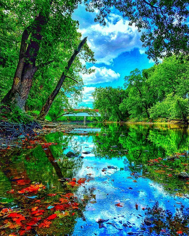 brockawillis's tweet photo. A beautiful place to visit. . #nature #naturephotography #landscapephotography #naturalindiana #indiananature #myindiana #igersindiana #igersindy #shotoniphone #water #reflection #sky #nature #iphonexsmax #visithc #iphoneonly #indiana_explored #coveredbr… https://t.co/HCIwYXFaVY https://t.co/OkzAbDyL5R