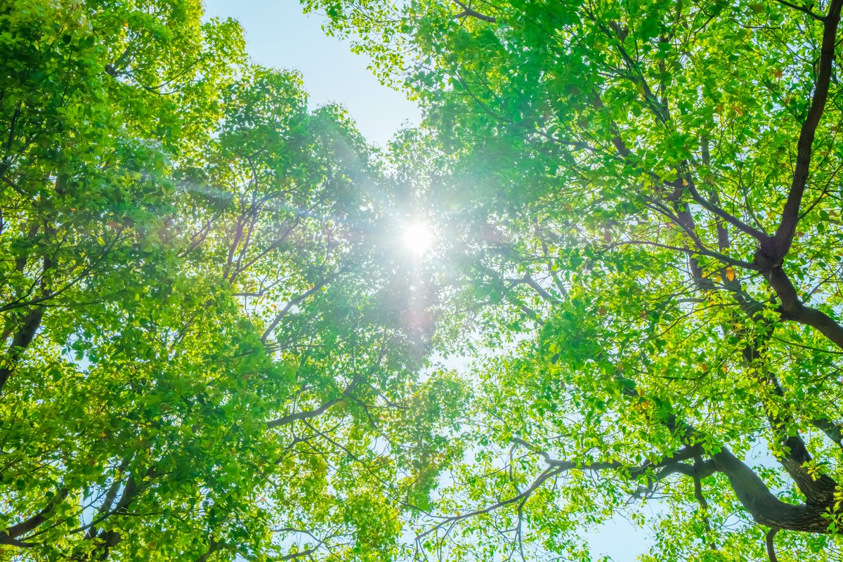 HiveNetCloud's tweet image. HiveNet has a strong focus on creation of a positive impact on the environment and the society.
This is why HiveNet is also listed on PositiveBlockchain, a community of beneficial blockchain projects.

#HiveNet #environment #society

positiveblockchain.io/database/hiven…