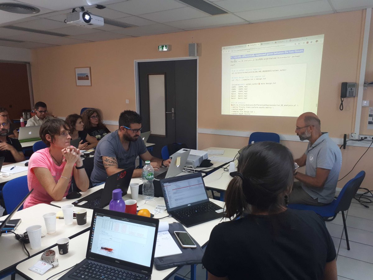 green_bioinfo's tweet photo. Fin de la formation @ird_fr assemblage et annotation de transcrits par une partie sur l'expression différentielle. 📊🧮
Merci aux formateurs! @JulieOrjuela @ItropBioinfo  et @r1corre @ABiMS_SBRoscoff  pour cette formation au top! 😉 https://t.co/h3iXROkDM3