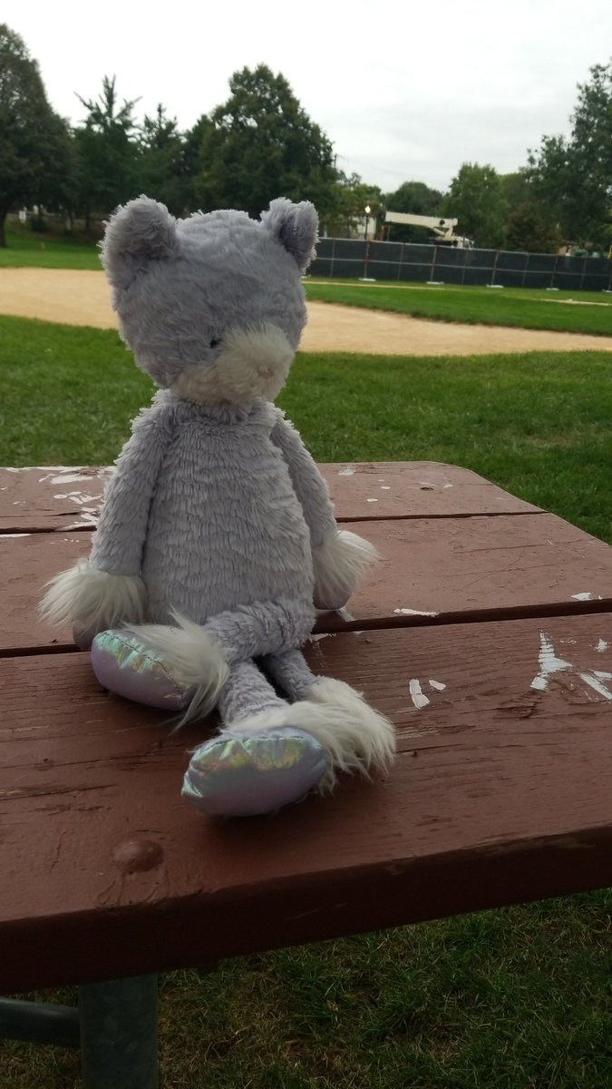 FieldParkPE's tweet photo. We found a lost cat (stuffed animal) at Field Park. Who had practice or a game last night? @WSParkDistrict https://t.co/lKgFKFEsX6