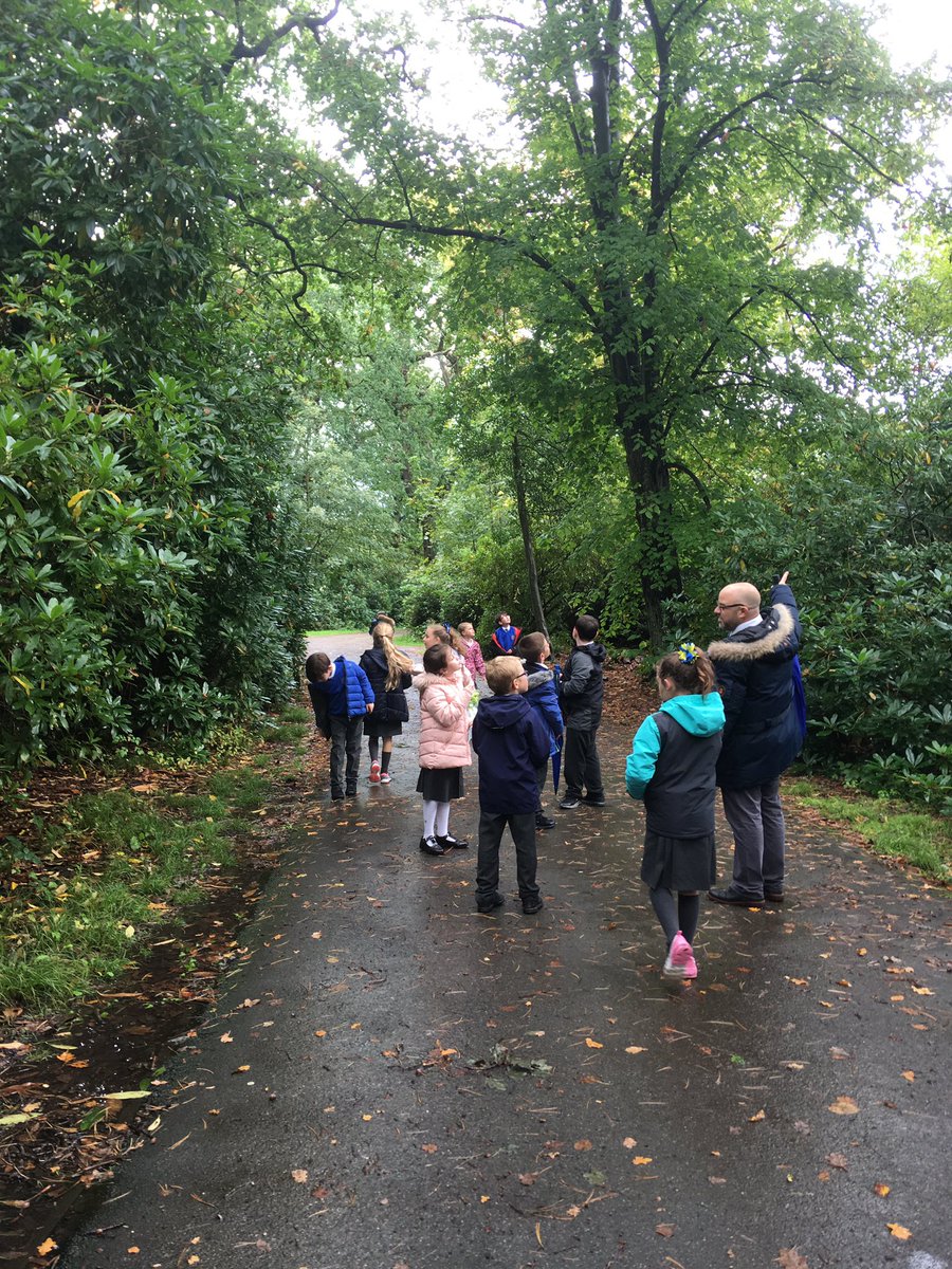Flomellynews's tweet photo. Year 4 at Croxteth Park learning about the importance and sustainability of our forests in support of FSC day. @FSCUK #FSCFriday2019 https://t.co/7rZlr2N0Ay