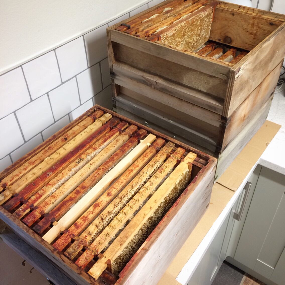 Springfield Farm tweet media