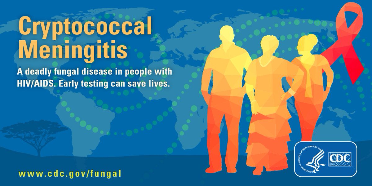 broadinstitute's tweet image. To finish out #FungalWeek we have an important fact about #cryptococcus. Cryptococcus can be a hidden killer- people with weakened immune systems, because of HIV/AIDS or after an organ transplant, are at highest risk. Learn more about cryptococcus: bit.ly/2nbErC0