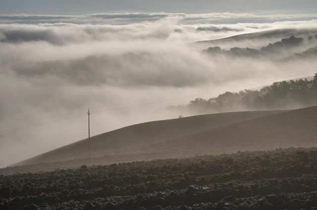 LeCreteSenesi's tweet photo. Mattinate di nebbia che regalano panorami unici. 
#cretesenesi https://t.co/sulQmxIv0l https://t.co/HZ1bpnyoW3