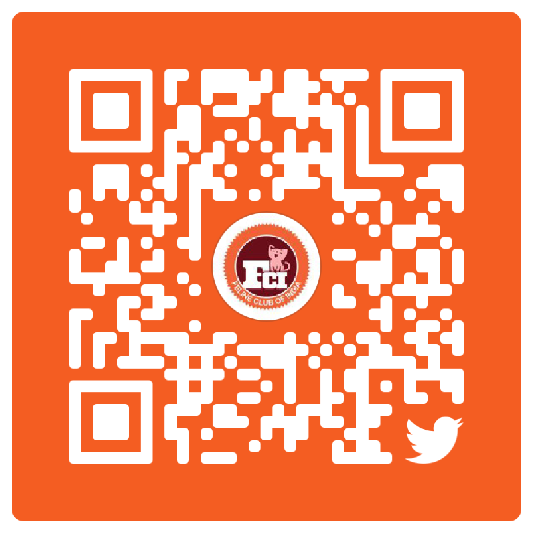 The Feline Club of India tweet media