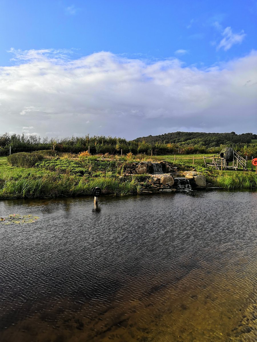 MHP Design tweet media