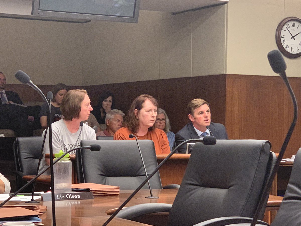 Morrison4MN's tweet photo. Thank you to @NSmithholt12 and Cindy Scherer-Boyd for testifying (again). We must address our insulin and prescription drug price crisis now. It’s time to act before we lose another Minnesotan. #AlecSmithEmergencyInsulinAct #Insulin4all #DrugPriceTransparency https://t.co/6DgGlGHyHY