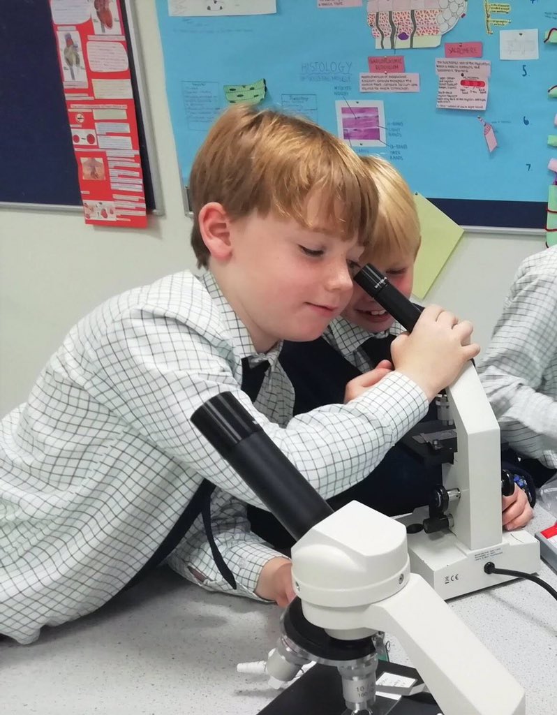 _Ludgrove's tweet image. A crack team of young scientists from the IVs donned goggles to pit its wits against 26 other teams in the Prep Schools Science Challenge @BradfieldCol. Well done boys for a great performance! #sciencecompetition #schoolscience  #scienceexperimentsforkids