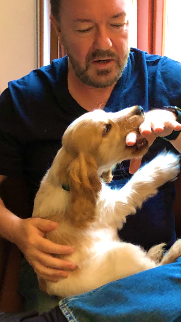 rickygervais's tweet photo. When your fingers look like little fat sausages. https://t.co/vyQzQDr8tb