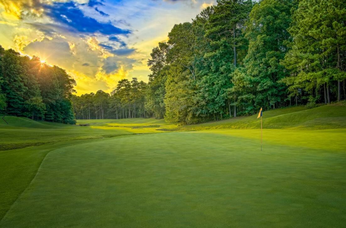 Golf Club of Georgia tweet media