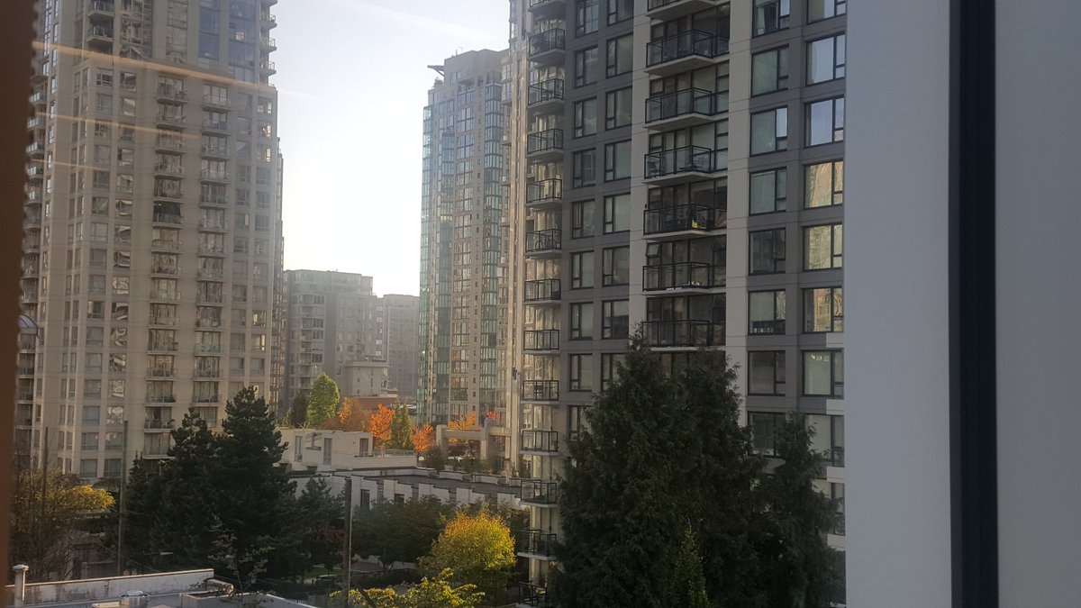 SoleSearcherPR's tweet image. Taking a moment to enjoy the view from my desk this AM. #FallingForFall