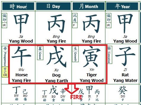 Zi Wei Dou Shu Chart Interpretation