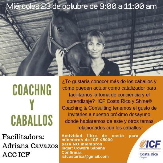 APREDER OBSERVANDO A LOS CABALLOS Y LAS MANADAS DE CABALLOS!