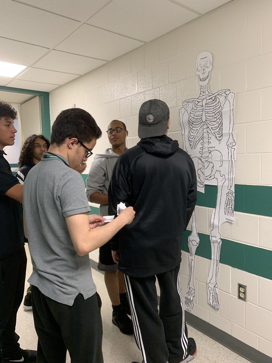 Students working to build and label skeletons. Come check them out as we learn more about the body’s framework! #lctiAC