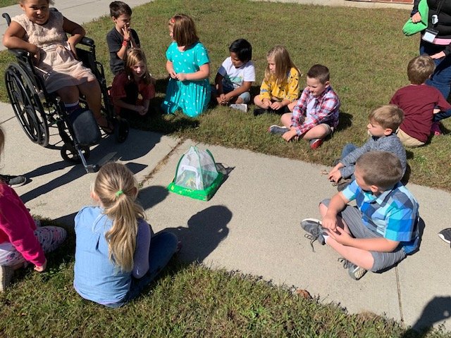 First_Grade_Fun's tweet photo. What a great day in #firstgrade!  We were lucky enough to watch a butterfly emerge from its chrysalis, recognize that was a female, watch it fly away, AND all successfully login to our new chromebooks for the FIRST time!! #rutlandne #vted https://t.co/ZgI2VMVnFw