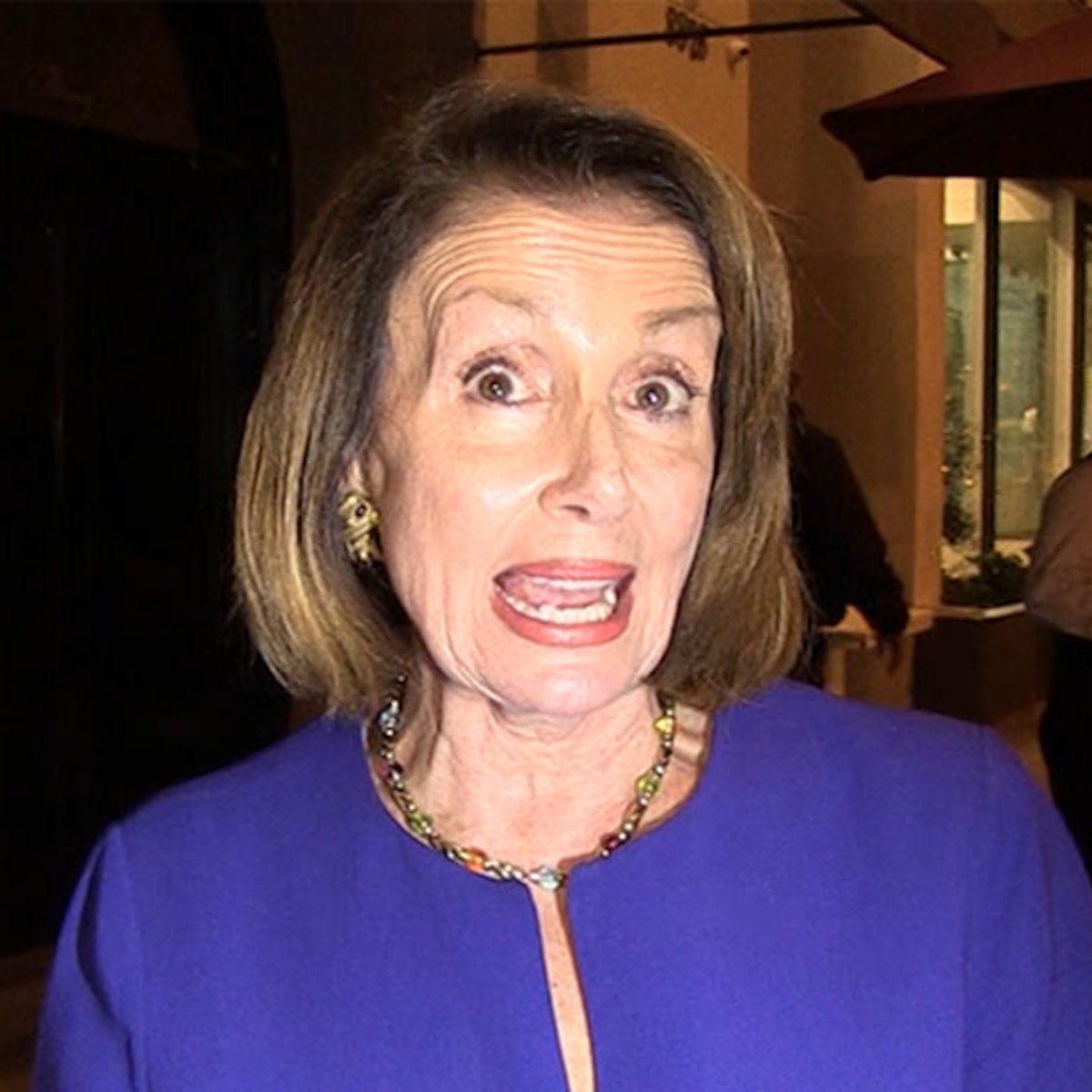 Image result for Mirror image of nancy pelosi