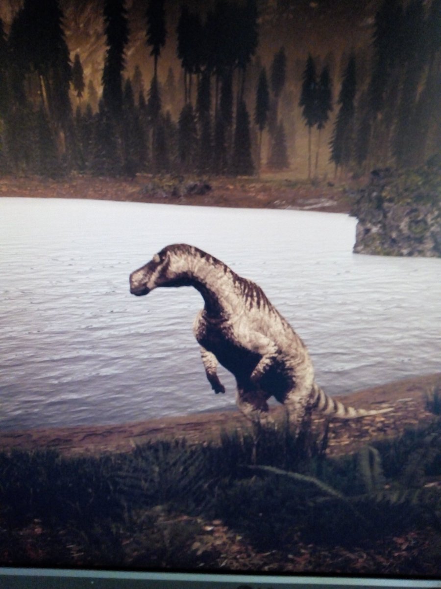 My little Maiasaurus ♥️