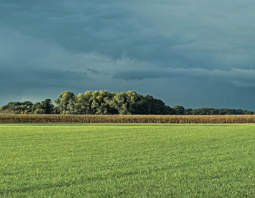 Notre plateforme technologique <a href="/SollioAgri/">Sollio Agriculture</a> permet d’agréger l’ensemble des données d’une exploitation agricole, en plus d’inclure des outils d’imagerie satellite et d’analyse agroéconomiques. Elle rend possible l’agriculture de précision. #AgQc #polQc #CAPERN #LaCoopfédérée