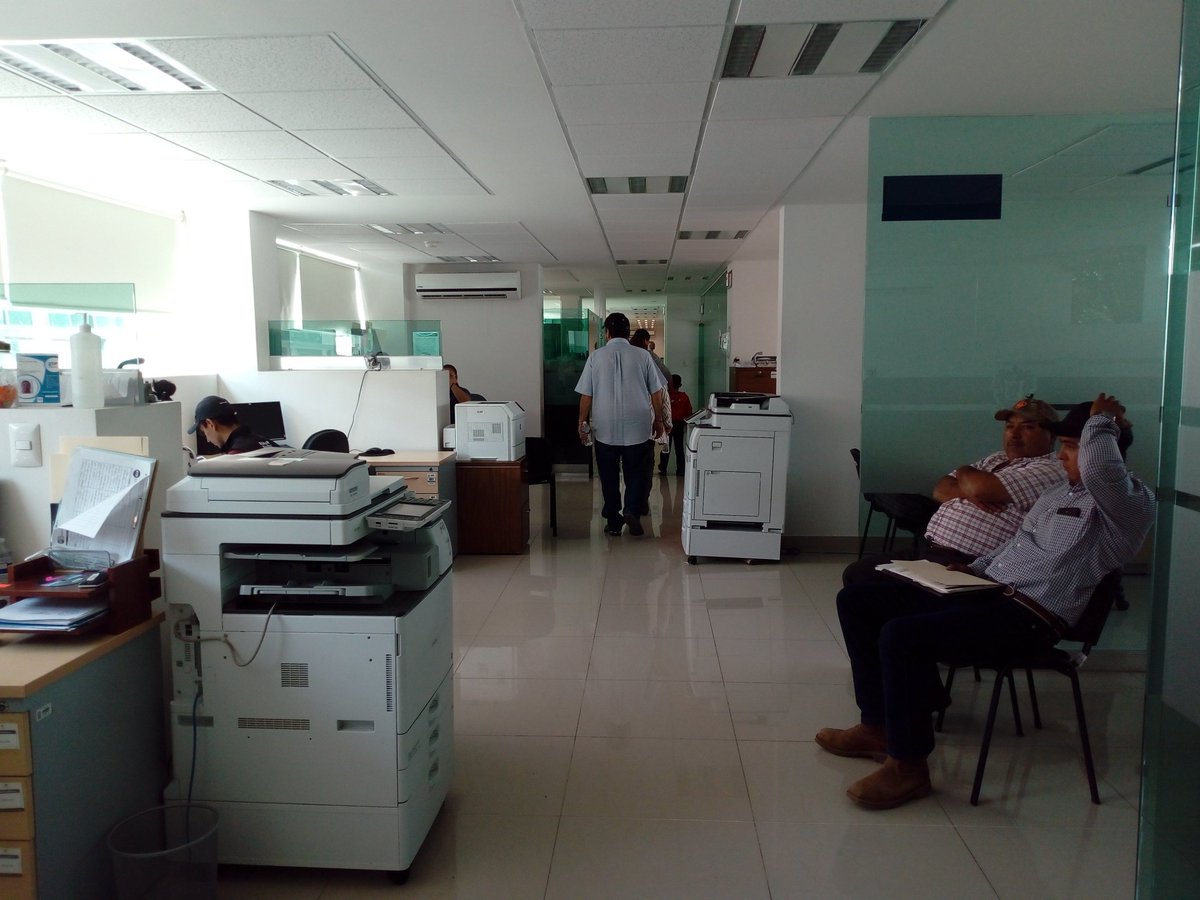 Jose59050306's tweet photo. #profesionalizaciónagropecuaria de visita en  la #sdayr acompañando a #productores para asesoria, asistencia y gestion de apoyos para un campo #productivo.
@DesdeGto @SDAyR_GTO @CIMMYT https://t.co/7LlOzRN2c2