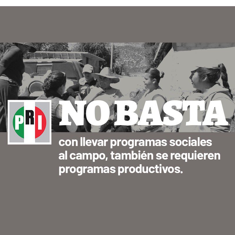 caroviggiano's tweet photo. Es fundamental fomentar la movilidad social, pero a través de becas y apoyos no es suficiente.

La mejor forma, es respaldando la productividad y fomentarla con programas y presupuesto digno. @alitomorenoc @PRI_Nacional 
#UnidosPorElCampo https://t.co/eVQeGbyKK8