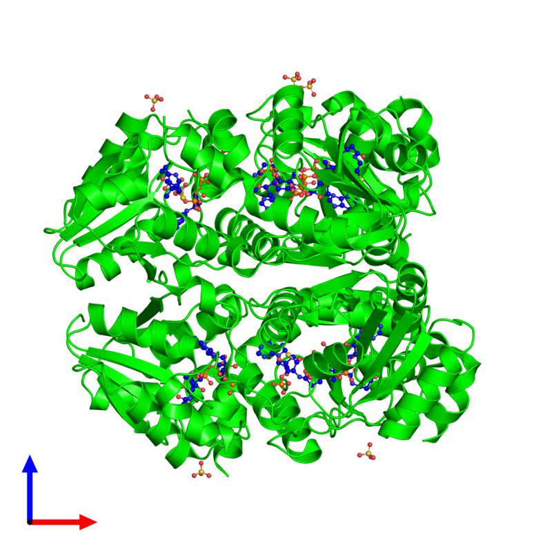 PDBimagebot's tweet photo. #HexamerOfTheWeek 'Structural and Functional Studies of Helicobacter pylori Wild-T..' Find it at https://t.co/3u5I8T0wE3 https://t.co/0yPXThg39A