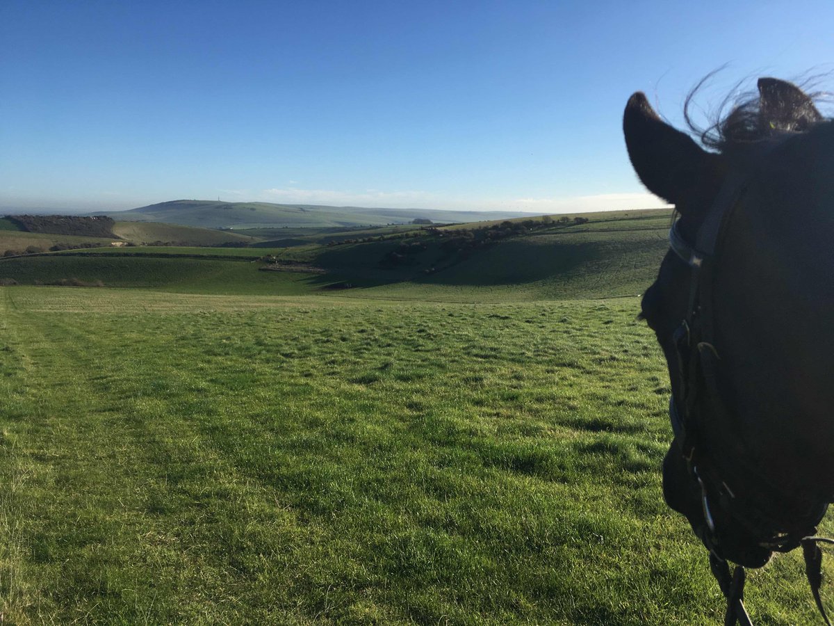 CerisBurnsEquus's tweet image. This weekend marks the last few days of summer. Make the most of it and get out there with your horses. #endofsummer #summerhacking