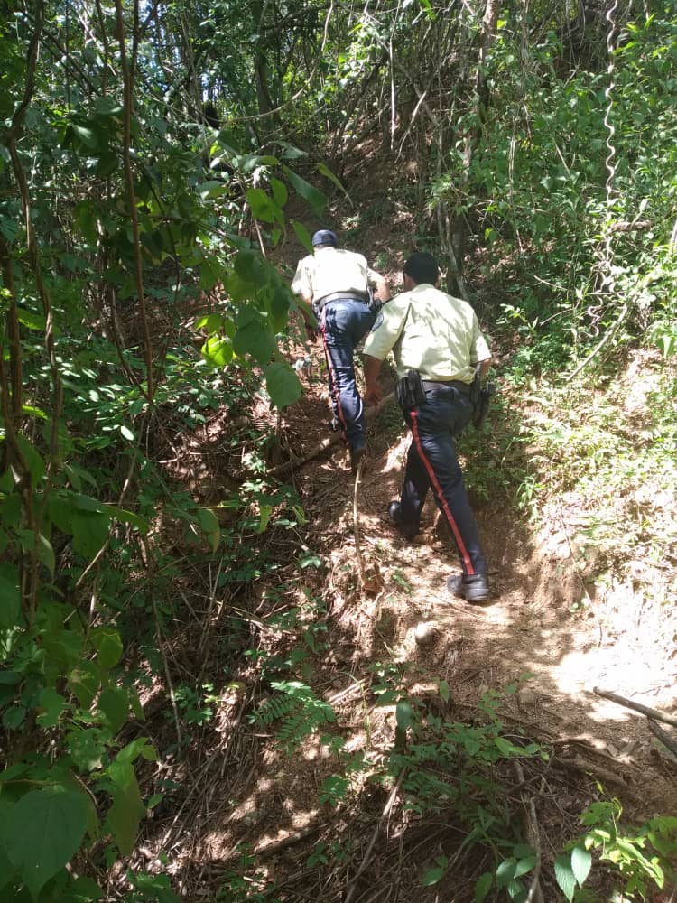 Policía Municipal de Sucre / Miranda tweet media