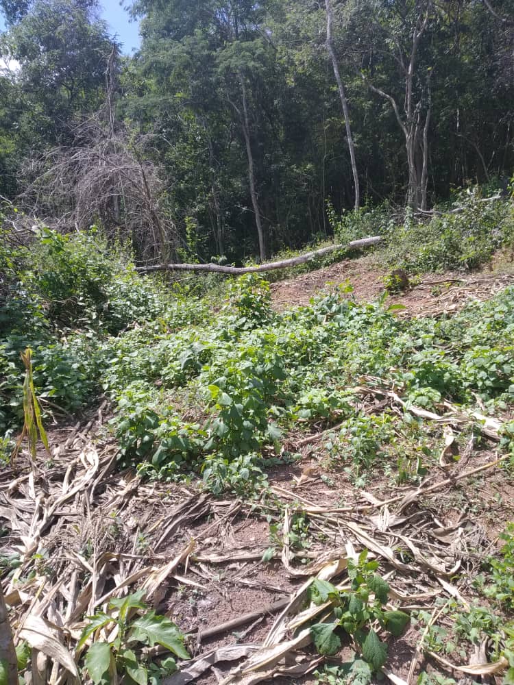 Policía Municipal de Sucre / Miranda tweet media