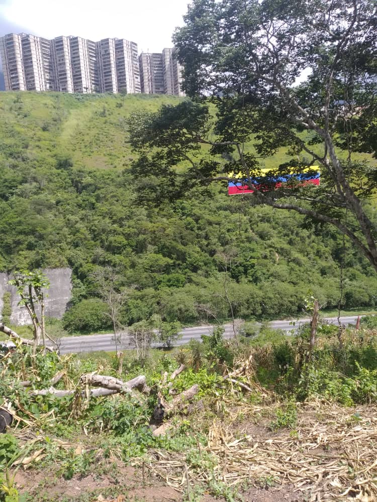 Policía Municipal de Sucre / Miranda tweet media