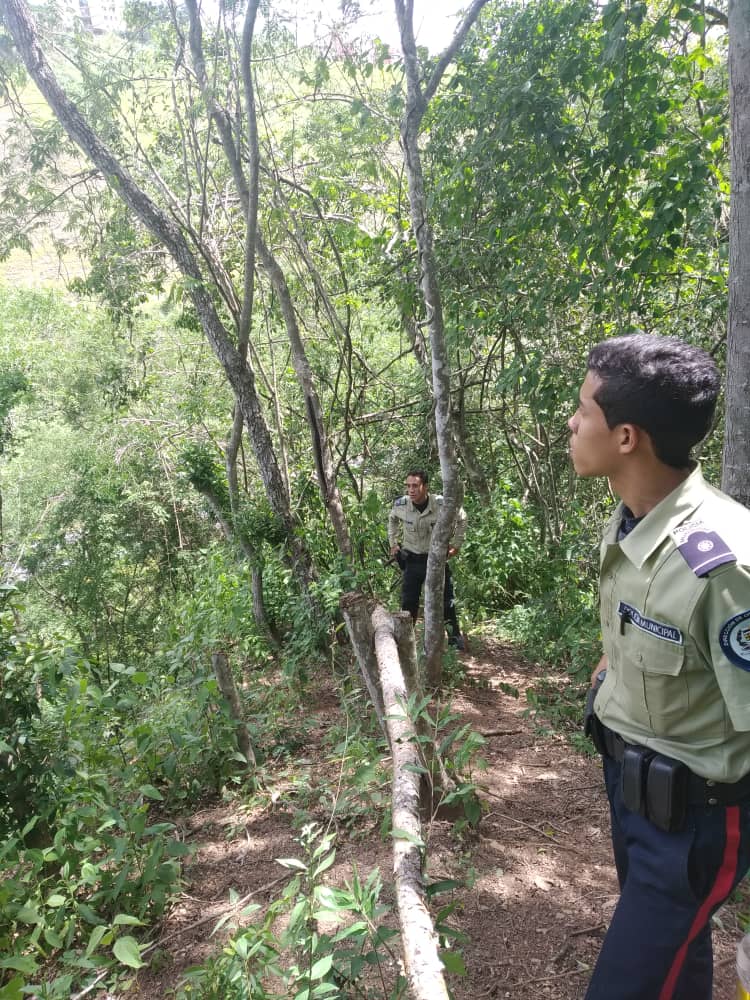 Policía Municipal de Sucre / Miranda tweet media