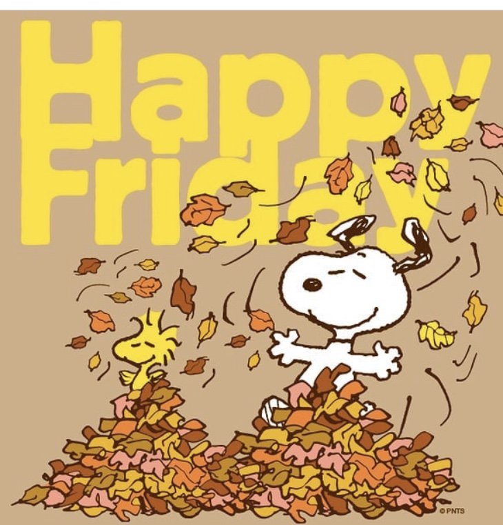 Now let’s go jump in some leaves!! 🍁🍂