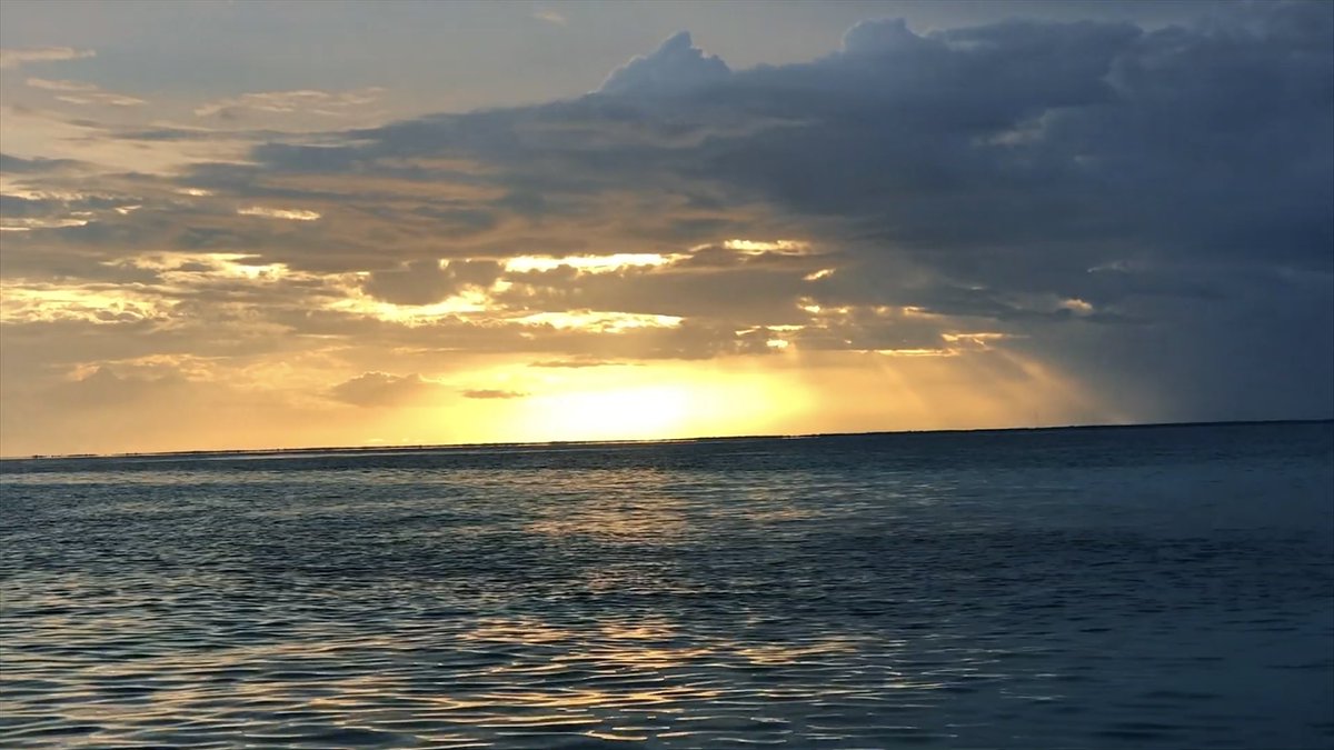 FootageDrone's tweet photo. Fun Video Exploring Coral Reef Restoration at Molasses Reef Lighthouse https://t.co/IWUij15xDO via @YouTube
-
#reef #Reef #WorldTourismDay #FridayFunday #WhateverItTakes #GreenEnergy #coral #FloridaLiving #Oceans #habitat #surf #sunsets #boating #boats #boat #LoveFL #YOLO #yolo https://t.co/Taikdsh1EF