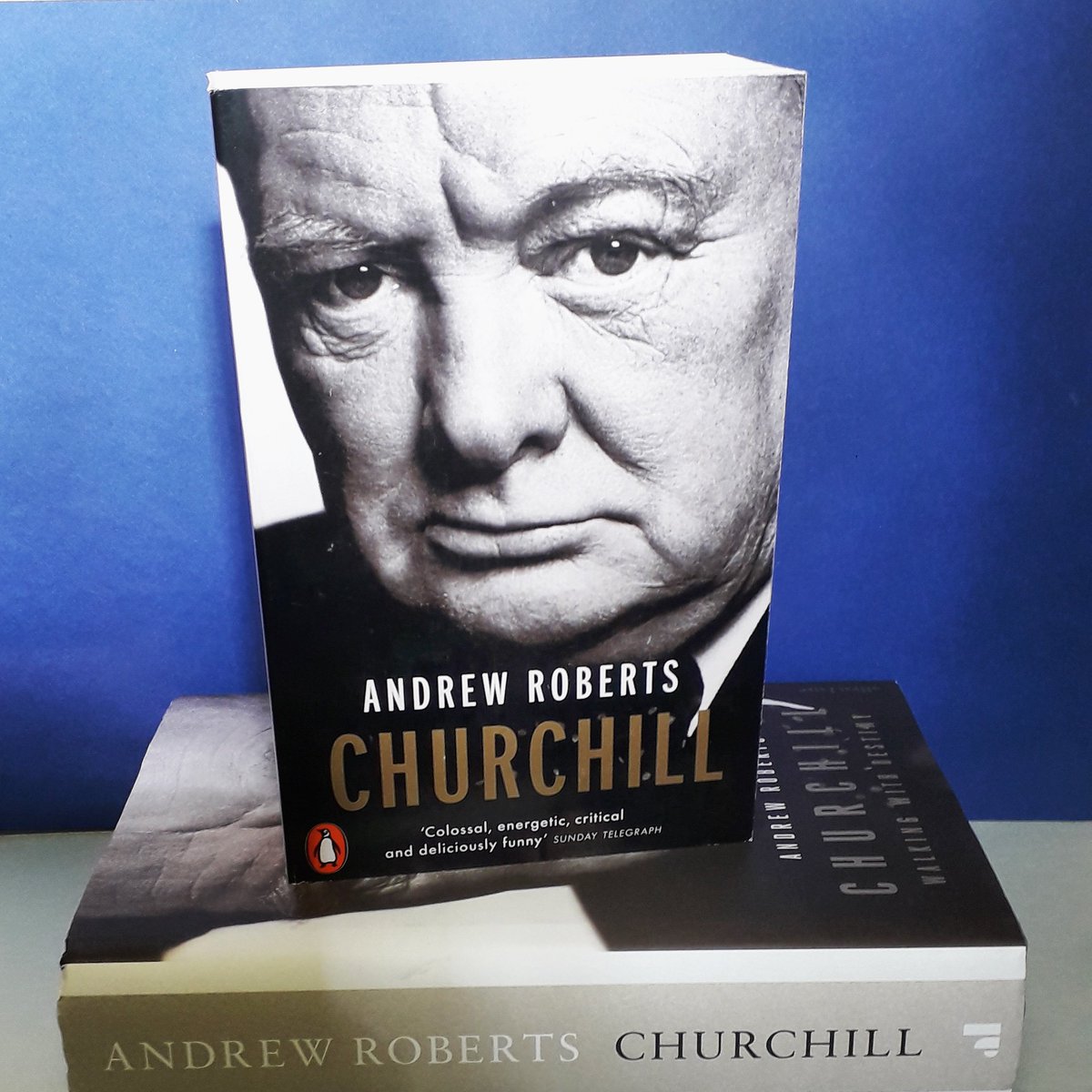 Thanks so much to historian @aroberts_andrew for such a marvellous talk about #WinstonChurchill yesterday at the #RyeArtsFestival. 
Huge thank you to all who purchased a copy of his brilliant biography, Churchill: Walking with Destiny!